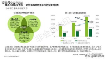 2019科创独角兽研究报告 信息技术咨询服务